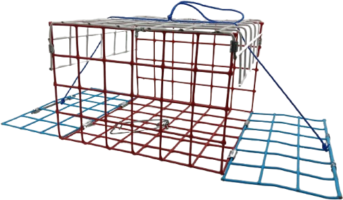 crab traps e-zcatch (2)